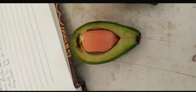 Types pf fruits and their placentation 