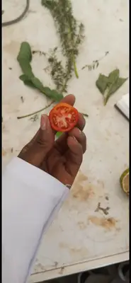 Types pf fruits and their placentation 