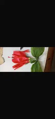 Hibiscus 
Hypogynous (type of ovary) 